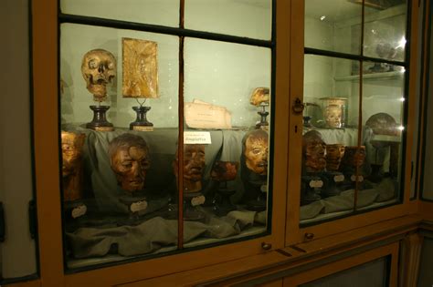 ¿Has oído hablar del fascinante Museo Arqueológico de Jale? ¡Un viaje a través de la historia turca!